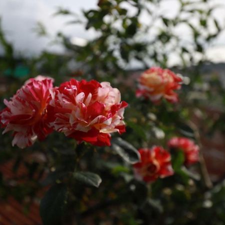 Homestay Doc Tinh Dalat Exteriér fotografie