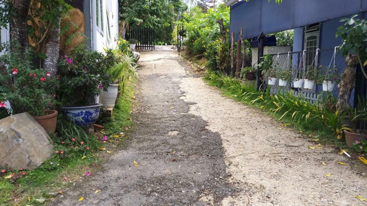 Homestay Doc Tinh Dalat Exteriér fotografie