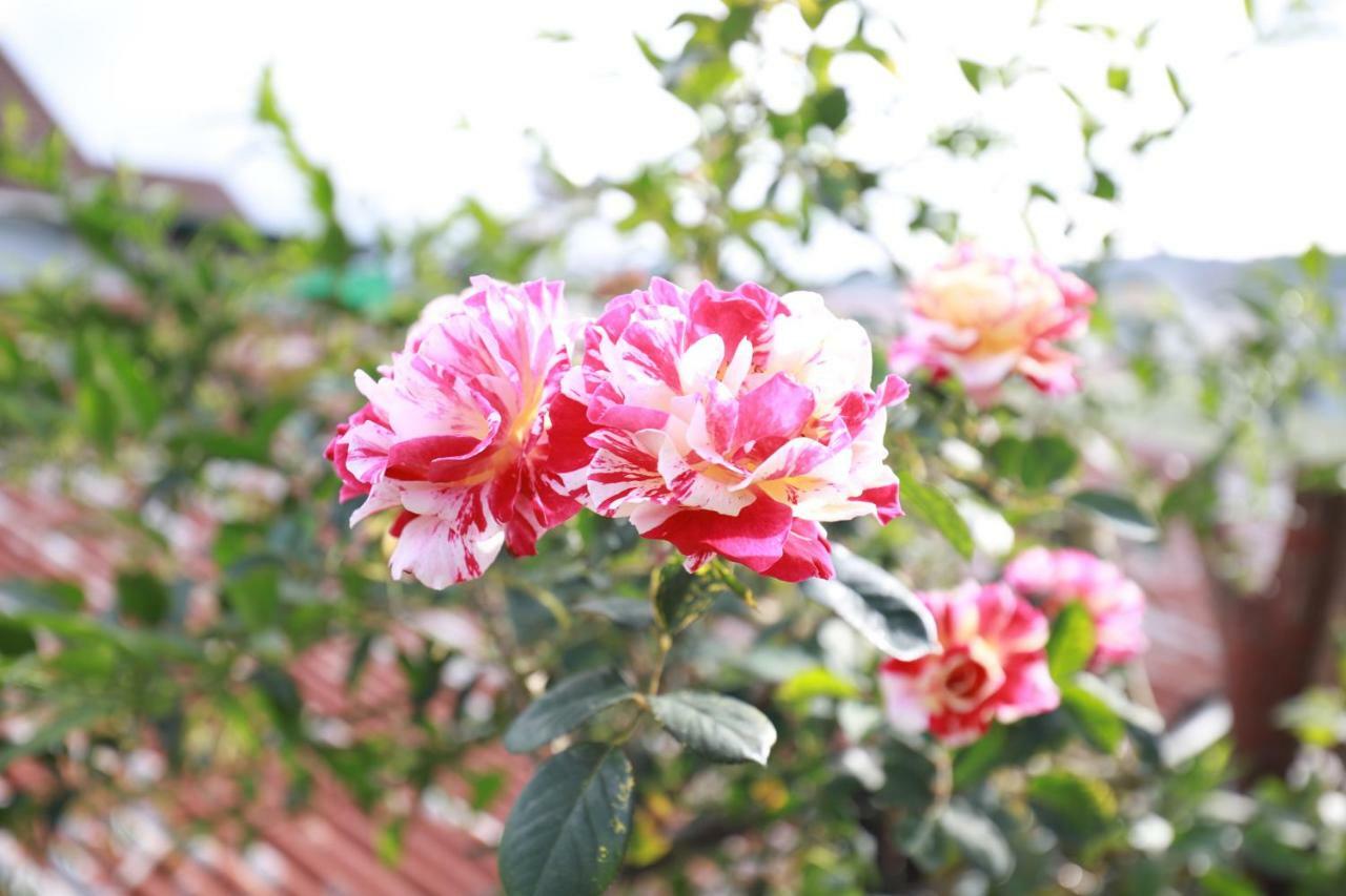 Homestay Doc Tinh Dalat Exteriér fotografie